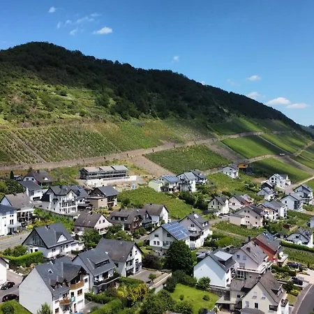 Nyaraló Im Moseltal Naehe Cochem