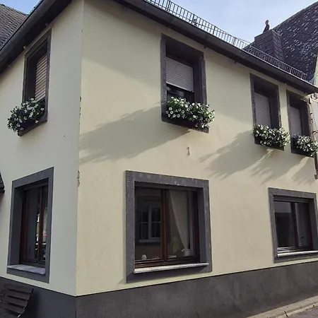Im Moseltal Naehe Cochem Müden