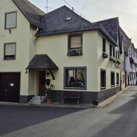 Im Moseltal Naehe Cochem *